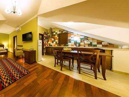 Санаторий Деренивская Купель Studio Apartament