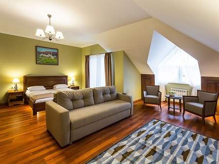 Санаторий Деренивская Купель Comfort Apartament